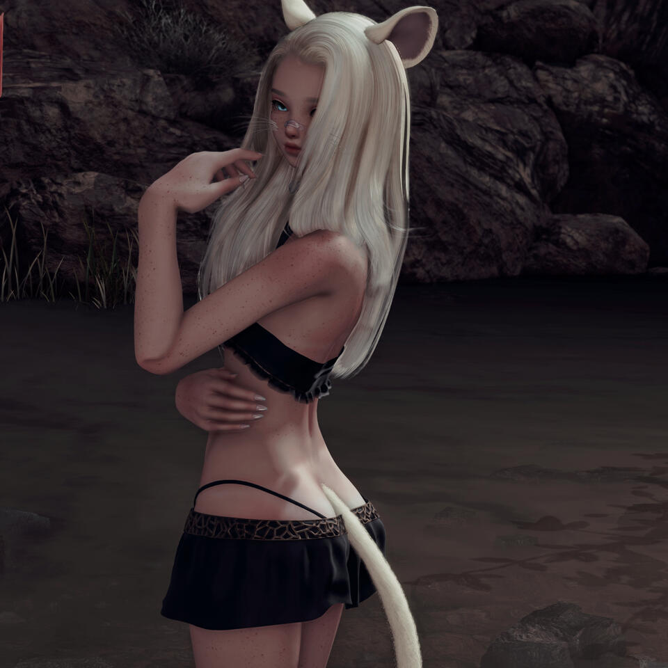 NSFW Company Lewd dances, teasing & more without limit Price: 850.000 for 30min ♥